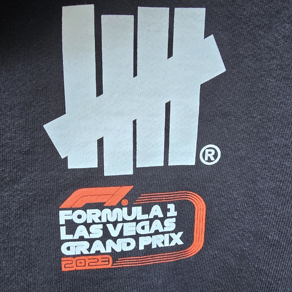 Undefeated x Formula 1 Las Vegas Grand Prix 2023 Zip Hoodie - Picture 3 of 6